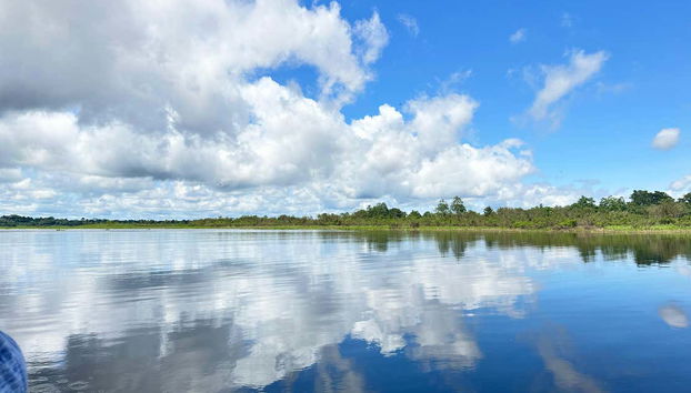 4-Day Amazon River Cruise - Foto 5