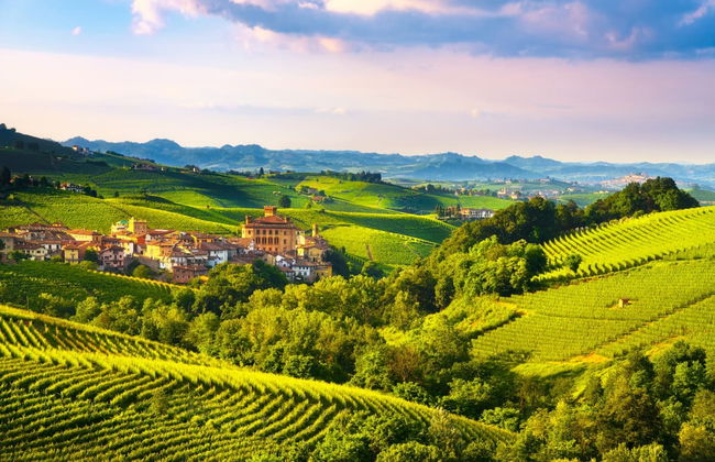 Chianti Fiat 500 Tour - Photo 1