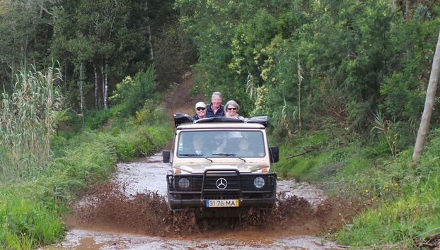 Off-Road Tour of Santana, Pico del Aieiro, & Punta de São Lourenço - Foto 4