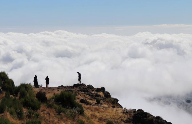 Off-Road Tour of Santana, Pico del Aieiro, & Punta de São Lourenço - Foto 2