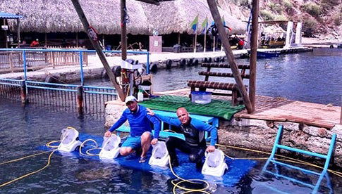 Listos para saltar al agua