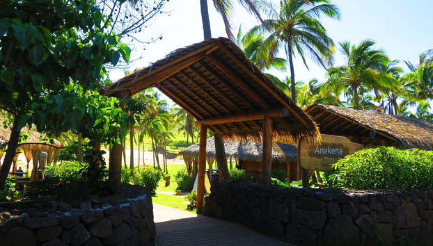 Easter Island and Anakena Beach Trip - Foto 4