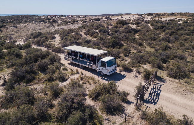 Estancia San Lorenzo y avistamiento de ballenas - Foto 4