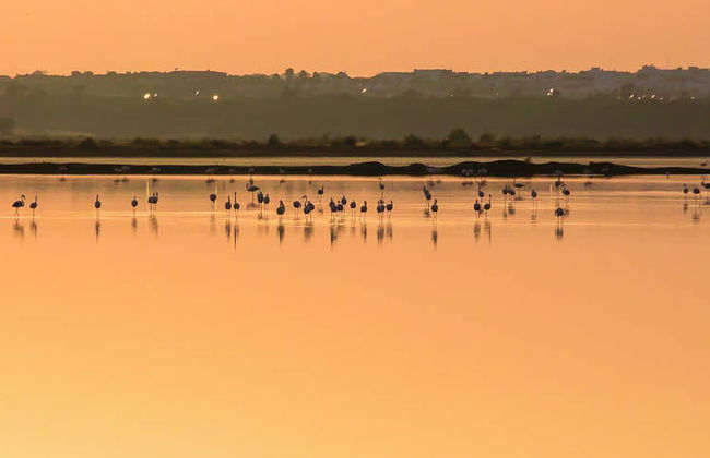 Paseo en barco por la ría de Huelva al atardecer - Foto 5
