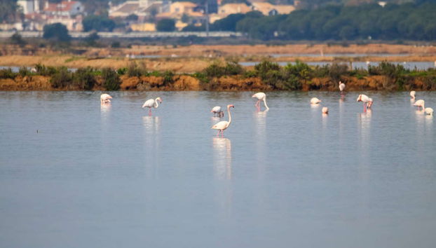 Balade en bateau sur l'estuaire de Huelva au coucher du soleil - Photo 3