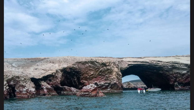 Tour de 2 días por Ica y Paracas - Foto 5