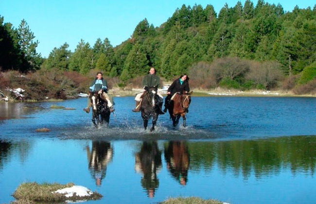 Excursión a caballo por la Patagonia - Foto 1