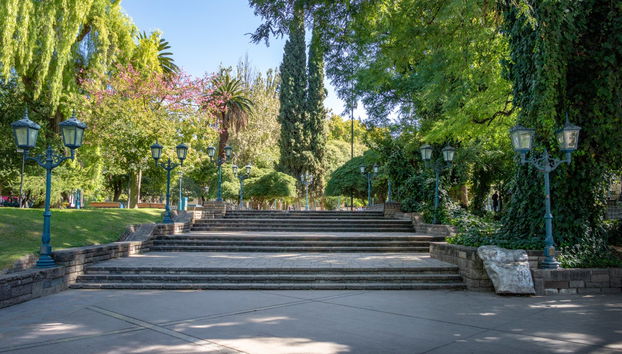 Tour privado por Mendoza - Foto 3