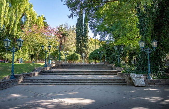 Tour privado por Mendoza - Foto 3