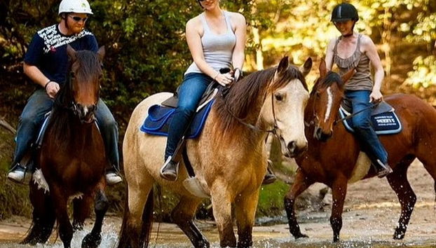 Paseo a caballo por Bodrum - Foto 4