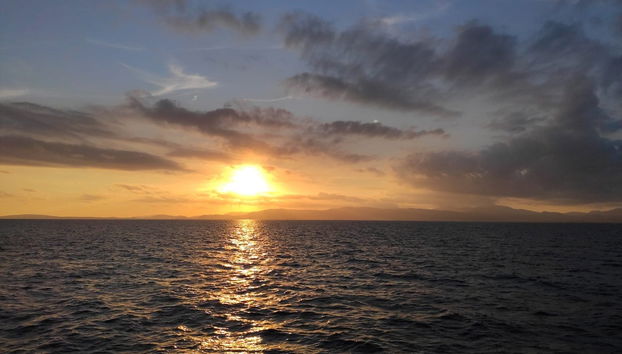 Passeio de catamarã pela baía de Palma ao entardecer - Foto 3