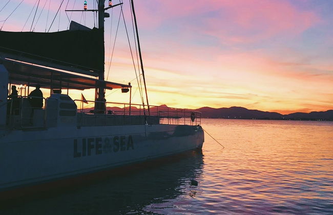 Passeio de catamarã pela baía de Palma ao entardecer - Foto 1
