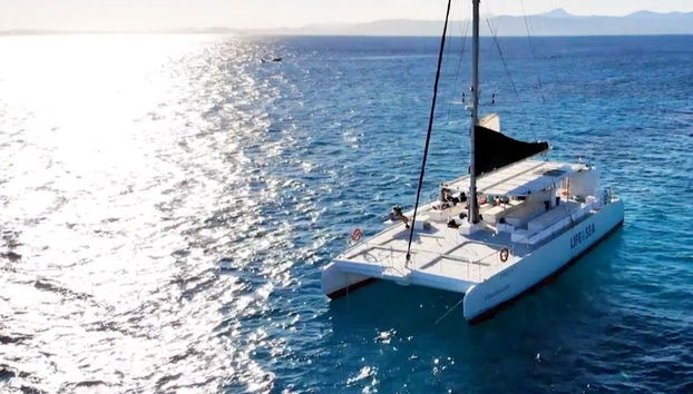 Passeio de catamarã pela baía de Palma ao entardecer - Foto 5