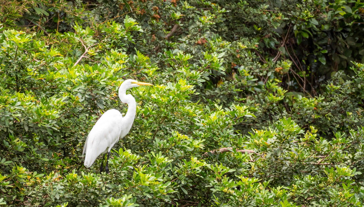 Salamanca Island Road Park Boat Ride - Foto 1