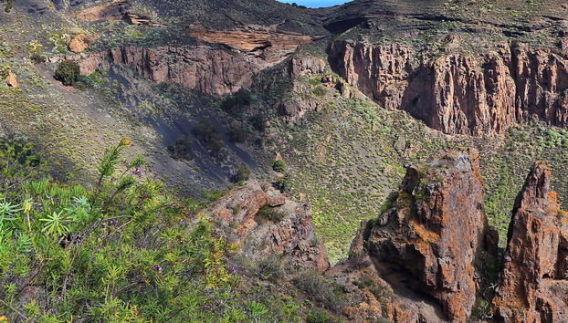 Visite de Las Palmas et du volcan de Bandama - Photo 5