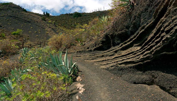 Visite de Las Palmas et du volcan de Bandama - Photo 4