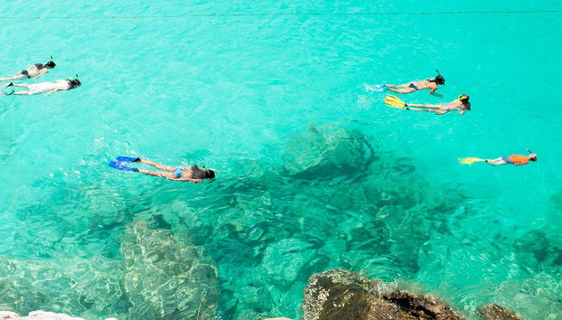 Swimming with Dolphins Tour - Photo 5