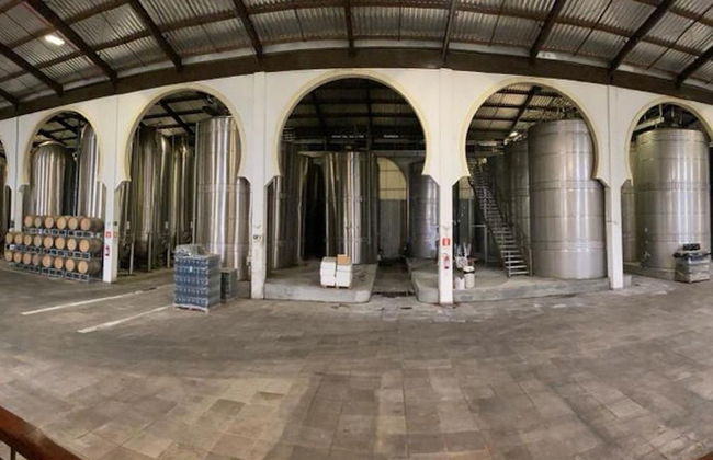 Tour della Rota dos Espumantes - Foto 5