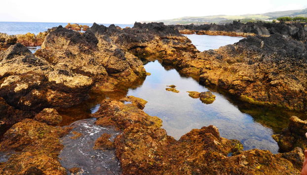 West Terceira Van Tour + Cheese Tasting - Foto 4