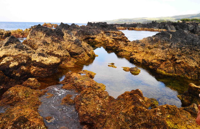 Tour pela costa oeste da Terceira + Degustação de queijos - Foto 4