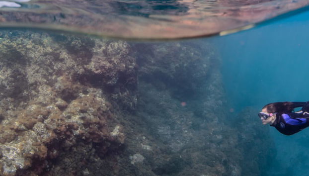 Snorkelling in Santa Maria - Foto 4