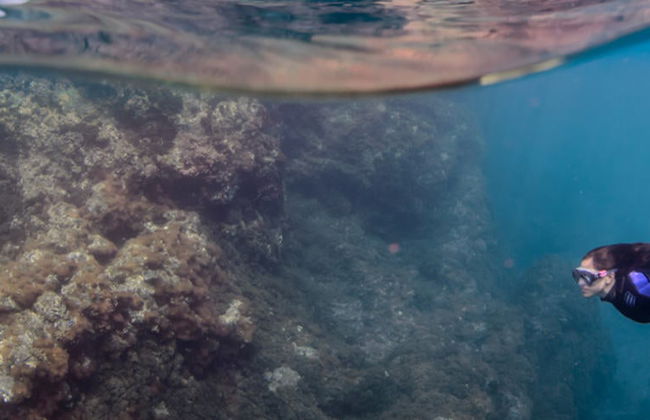 Snorkeling à Santa Maria - Photo 4