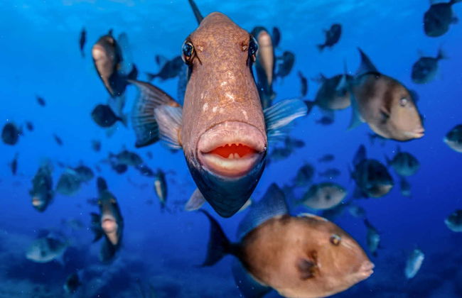 Snorkeling à Santa Maria - Photo 3
