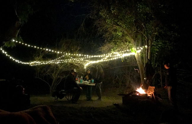 Camping in Hanging Tents - Photo 2