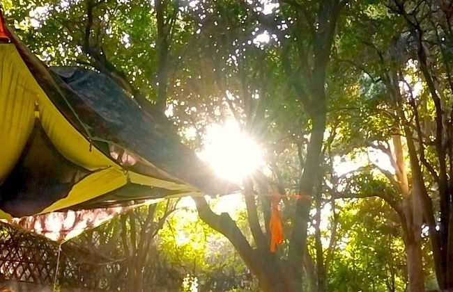 Camping in Hanging Tents - Photo 7