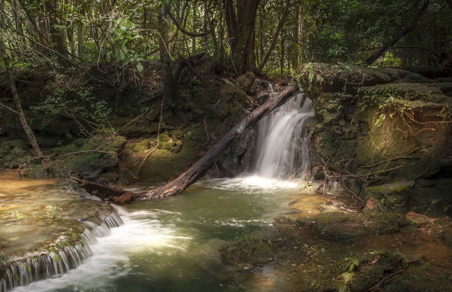 Serra da Bodoquena Hiking Tour - Foto 7