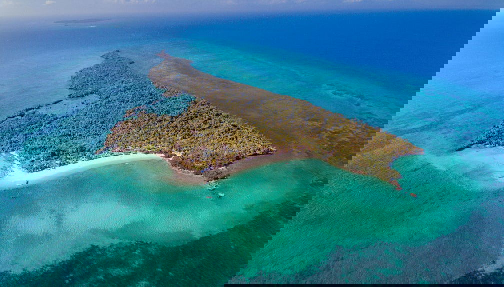 Kwale Island Day Trip - Photo 1