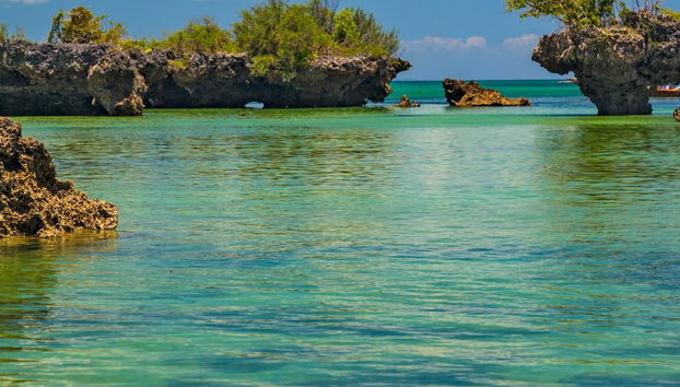 Kwale Island Day Trip - Photo 5