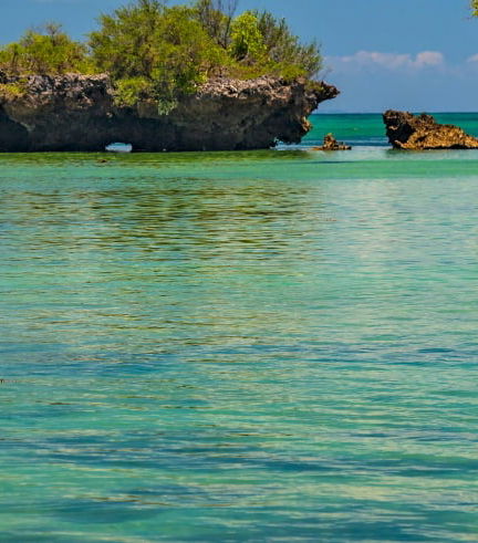 Foto - Excursão à ilha Kwale