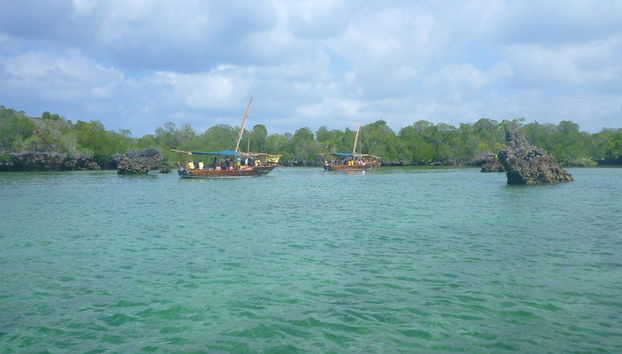 Kwale Island Day Trip - Photo 3