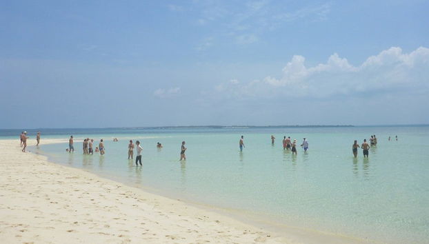 Kwale Island Day Trip - Photo 4