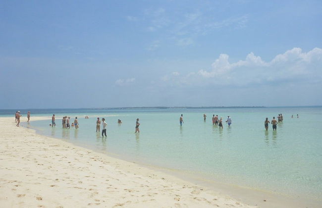 Kwale Island Day Trip - Photo 4