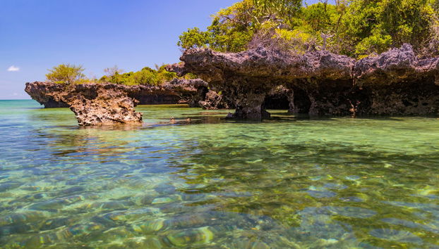 Kwale Island Day Trip - Photo 2