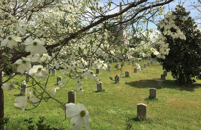Tour de la Guerra Civil - Foto 1