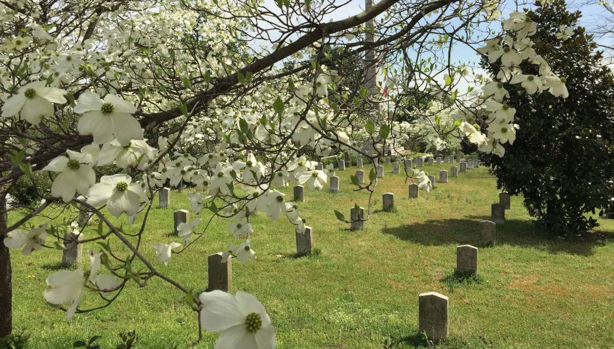 Tour de la Guerra Civil - Foto 1