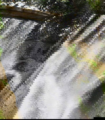 Foto de Excursión a Tamasopo y Puente de Dios