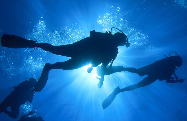 Immersione al Parco marino di Phi Phi - Foto 9