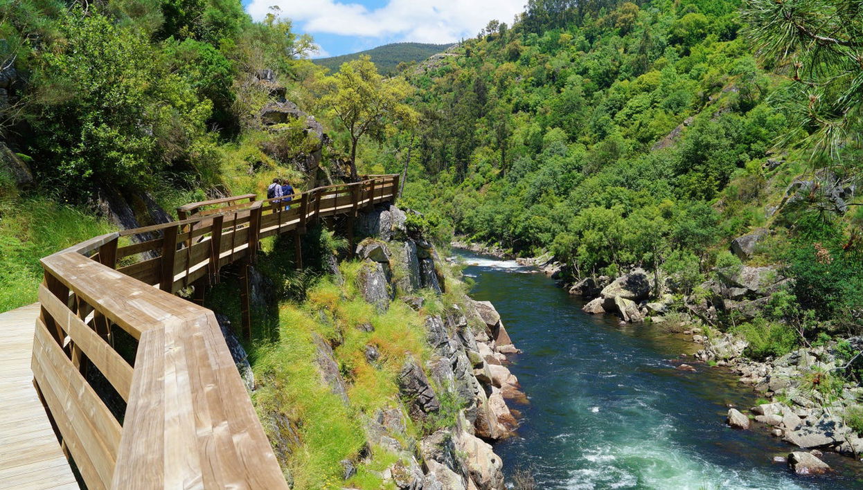 Paiva Walkways Tour - Foto 1