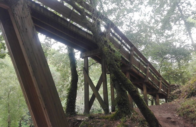 Trekking ai Passadiços do Paiva - Foto 4