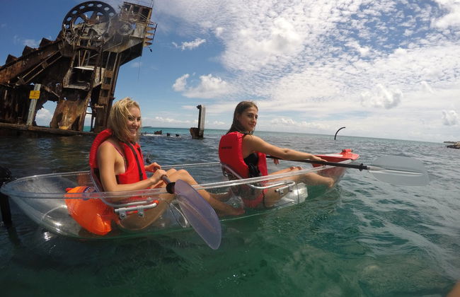 Excursion à l'Île Moreton - Photo 8
