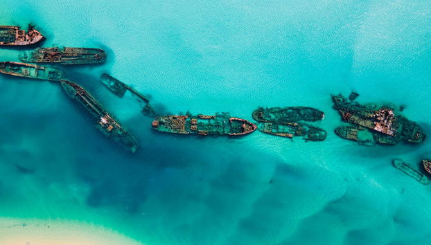 Excursión a Moreton Island - Foto 5