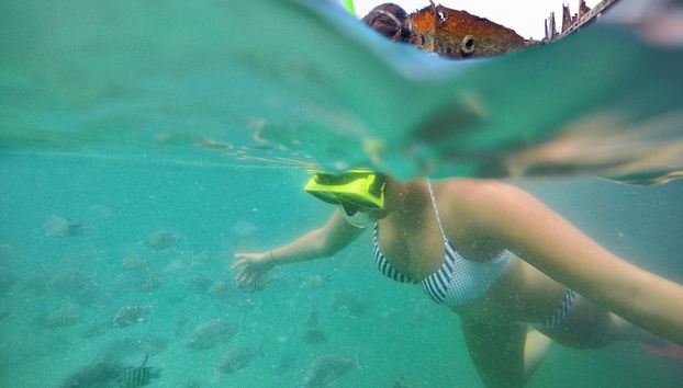 Excursión a Moreton Island - Foto 3