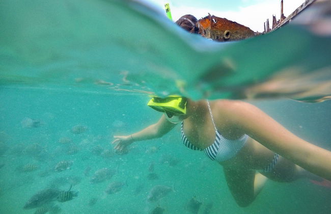 Moreton Island Day Trip - Photo 3