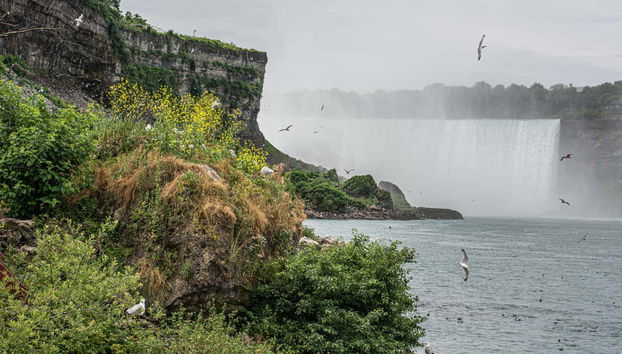 Tour de las Cataratas del Niágara al completo - Foto 4