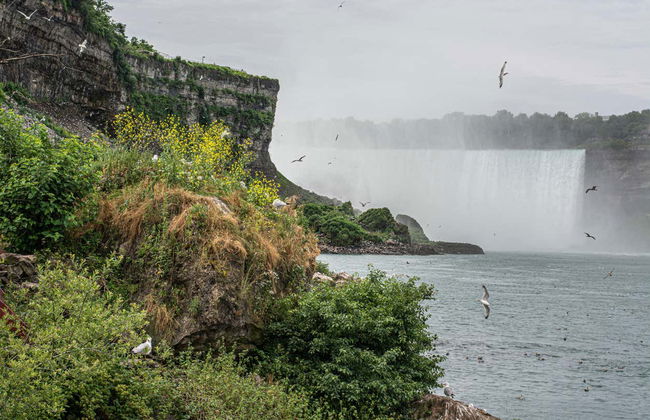 Tour de las Cataratas del Niágara al completo - Foto 4