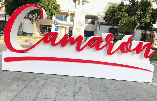 San Fernando Private Tour - Foto 6